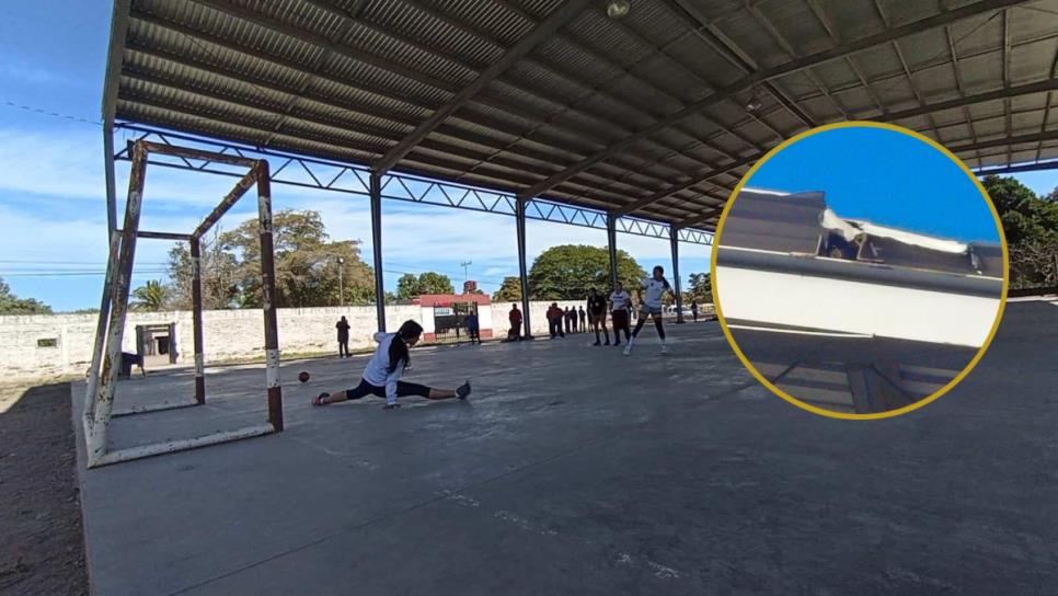 Selección sinaloense de Handball en Ahome no entrena porque hay abejas en la cancha Selección sinaloense de Handball en Ahome no entrena porque hay abejas en la cancha