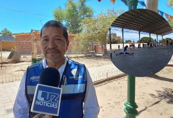 Por falta de grúa no han retirado enjambre de abejas en San José de Ahome: PC