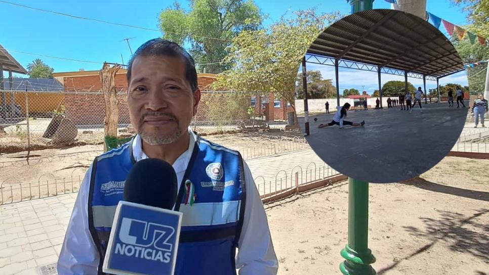 Por falta de grúa no han retirado enjambre de abejas en San José de Ahome: PC Por falta de grúa no han retirado enjambre de abejas en San José de Ahome: PC