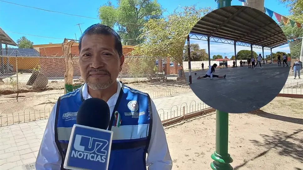 FOTO: Por falta de grúa no han retirado enjambre de abejas en San José de Ahome: PC