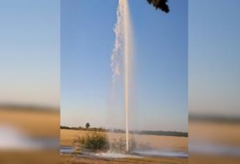 Fuga  de agua revela supuesta toma clandestina que conecta a invernadero en El Carrizo