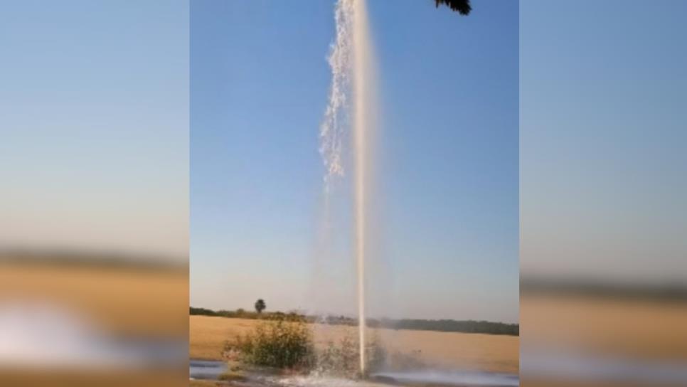 Fuga de agua revela supuesta toma clandestina que conecta a invernadero en El Carrizo Fuga de agua revela supuesta toma clandestina que conecta a invernadero en El Carrizo