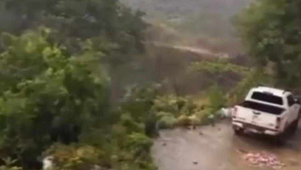 Caen las primeras lluvias del año en la sierra; ¿Beneficiará a Sinaloa? Caen las primeras lluvias del año en la sierra; ¿Beneficiará a Sinaloa?