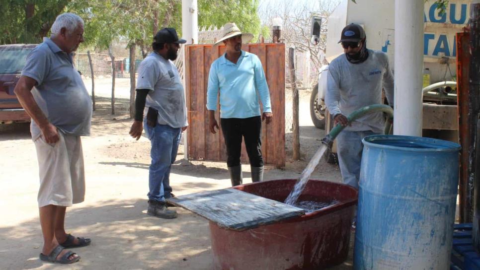 ¡El año más seco en Sinaloa! ¿Cómo se encuentra Mazatlán ante la sequía? ¡El año más seco en Sinaloa! ¿Cómo se encuentra Mazatlán ante la sequía?