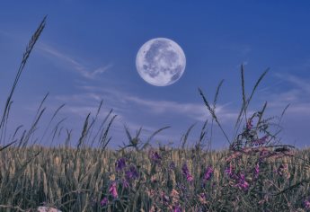 Luna de Flores: ¿Qué es este fenómeno astronómico y cuando podrás verlo?