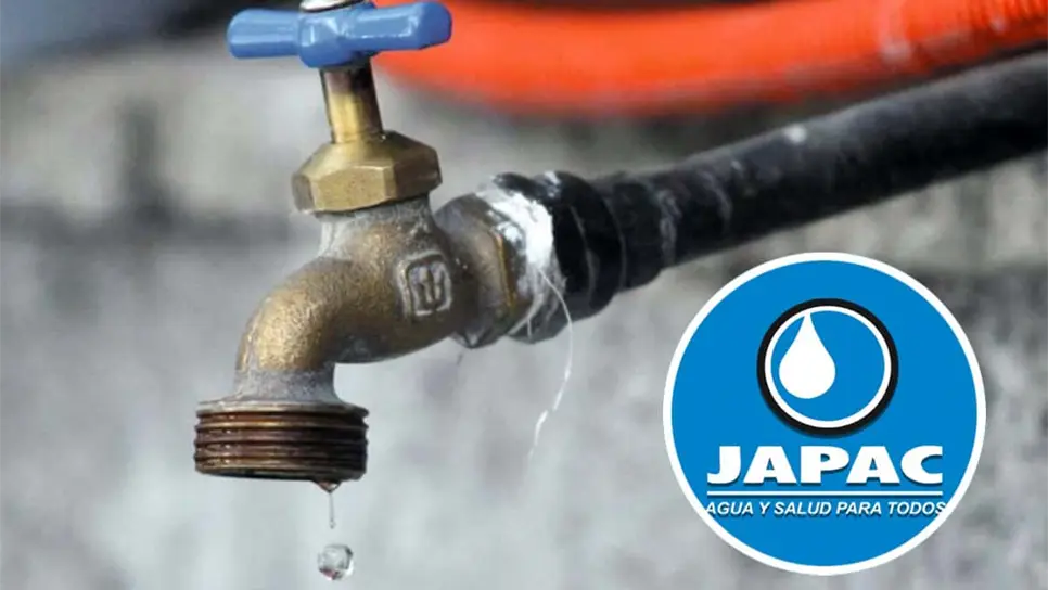 FOTO: Cortesía/FreePik/Japac.