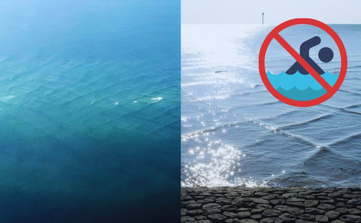 Olas cuadradas, un fenómeno fascinante, pero extremadamente peligroso, según científicos 