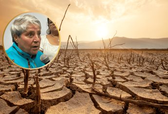 “Urgente declaratoria de emergencia por sequía en Sinaloa”: Martha Dagnino