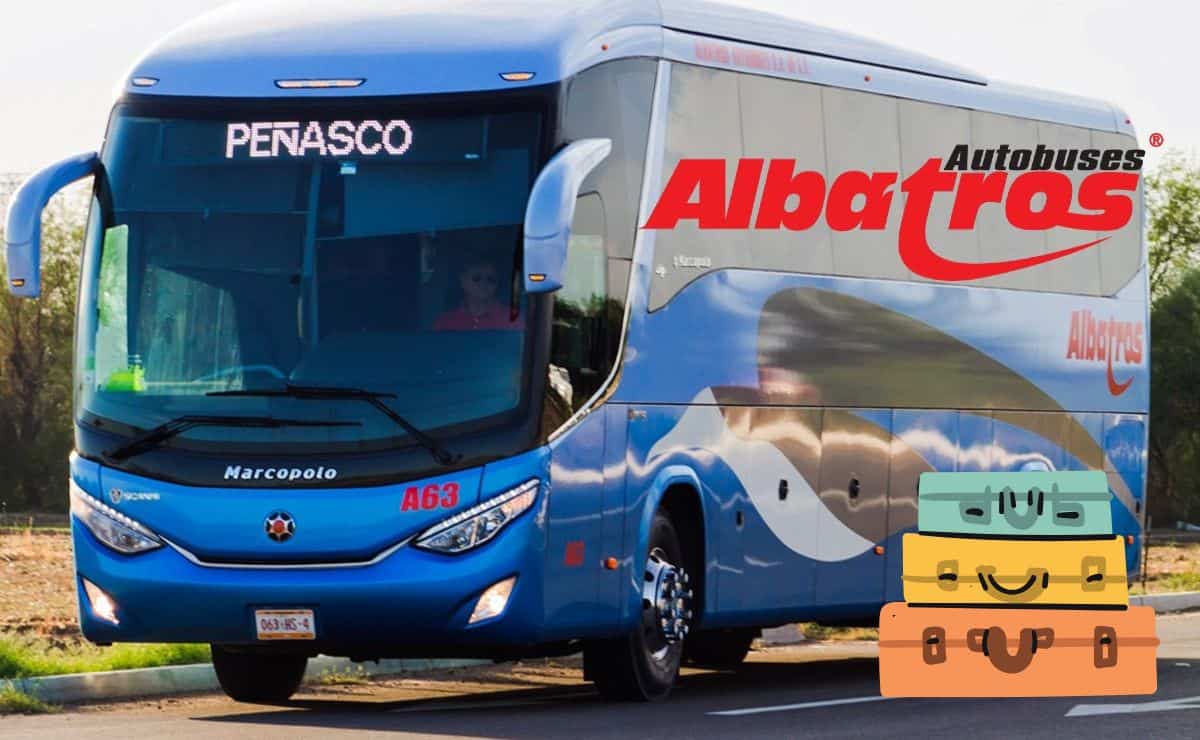 FOTO: ¿Cuánto cuesta viajar en Albatros de Cd Obregón a Puerto Peñasco, Sonora?