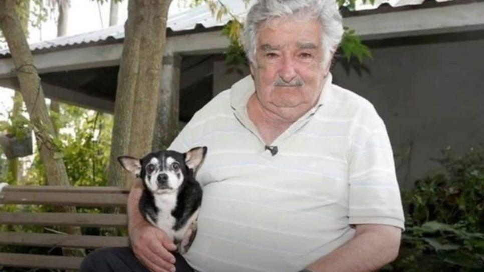 José Mujica: ¿Por qué se le llamó el presidente más pobre del mundo? José Mujica: ¿Por qué se le llamó el presidente más pobre del mundo?
