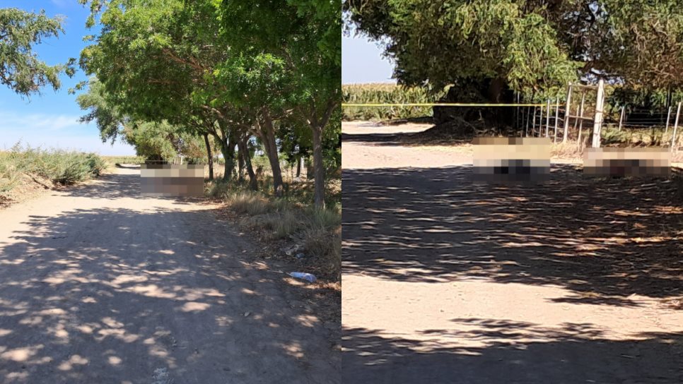 Ejecutan a dos en San Pedro, Navolato; tenían el tiro de gracia Ejecutan a dos en San Pedro, Navolato; tenían el tiro de gracia
