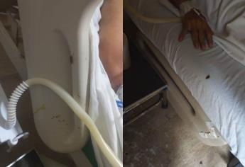 Denuncian plaga de cucarachas en el Hospital General de Los Mochis