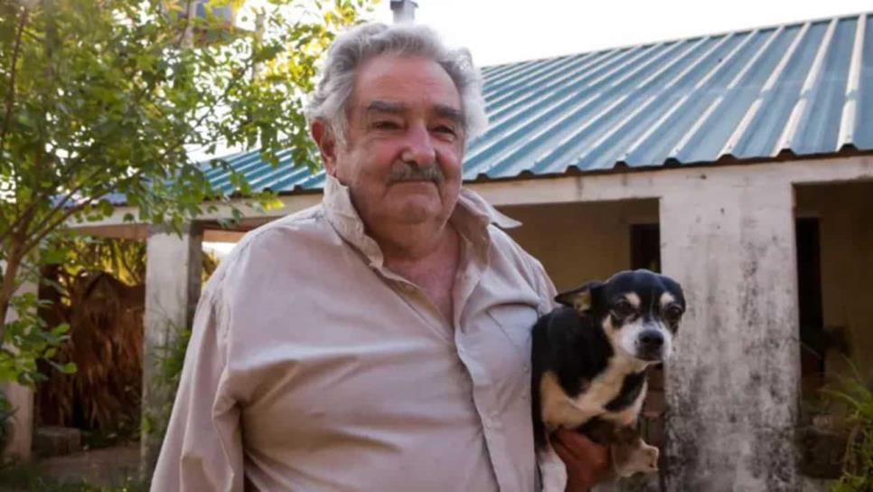 José Mujica pidió ser sepultado junto a Manuela, su perra de tres patas José Mujica pidió ser sepultado junto a Manuela, su perra de tres patas