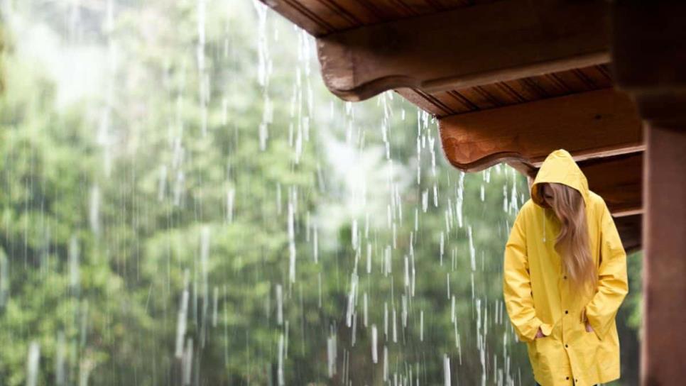 Monzón mexicano: ¿Cómo se forma este fenómeno que ayudará con lluvias a Sinaloa? Monzón mexicano: ¿Cómo se forma este fenómeno que ayudará con lluvias a Sinaloa?