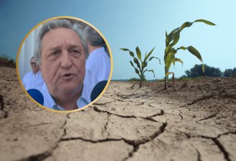 “Sin agua, no hay nada”: agricultores de Sinaloa enfrentan incertidumbre por la sequía
