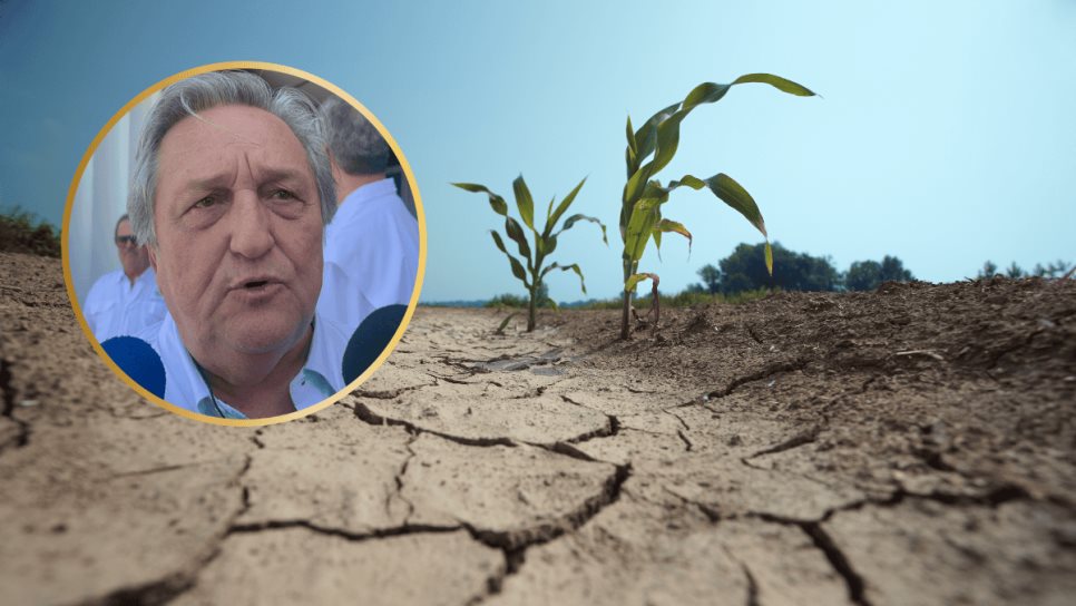 "Sin agua, no hay nada": agricultores de Sinaloa enfrentan incertidumbre por la sequía "Sin agua, no hay nada": agricultores de Sinaloa enfrentan incertidumbre por la sequía