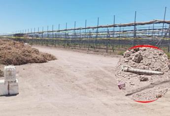 Hallan explosivo en un campo agrícola de Aguaruto, Culiacán