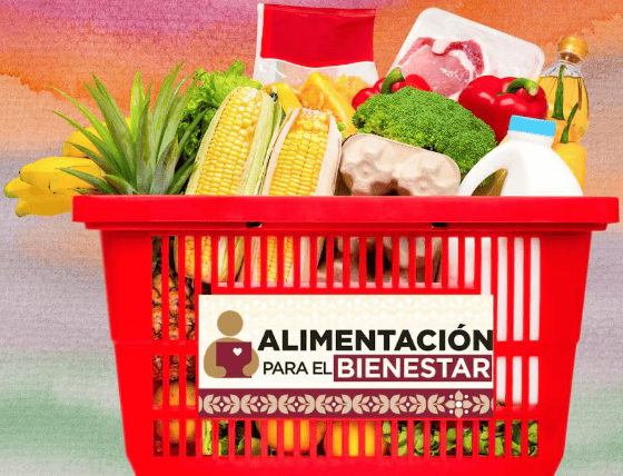 Imagen Placeholder Imagen Placeholder