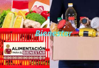 Alimentación para el Bienestar: Requisitos y cómo obtener este beneficio por seis meses