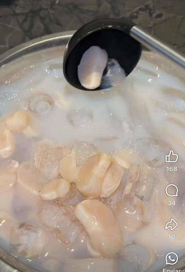 Imagen Placeholder Imagen Placeholder