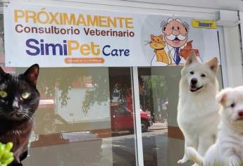SimiPet Care: ¿Habrá consultorios del Dr. Simi para mascotas en Sinaloa? Esto sabemos