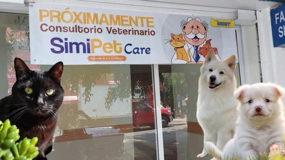SimiPet Care: ¿Habrá consultorios del Dr. Simi para mascotas en Sinaloa? Esto sabemos