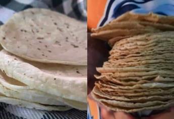 Científicos mexicanos crean tortilla con harina de trigo y probióticos que dura un mes sin refrigeración