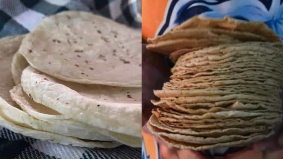 Científicos mexicanos crean tortilla con harina de trigo y probióticos que dura un mes sin refrigeración Científicos mexicanos crean tortilla con harina de trigo y probióticos que dura un mes sin refrigeración