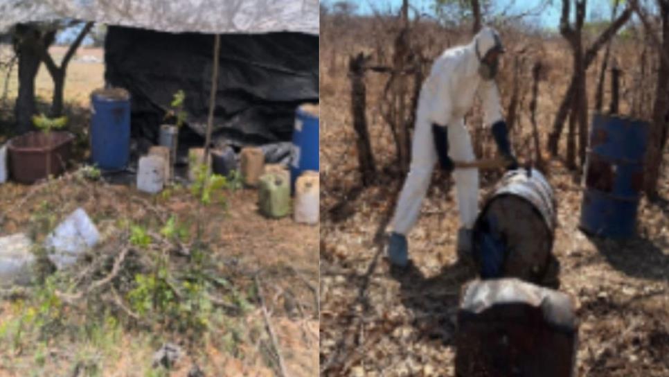 En Culiacán y Elota, aseguran un laboratorio y dos áreas de concentración de sustancias para la elaboración de drogas En Culiacán y Elota, aseguran un laboratorio y dos áreas de concentración de sustancias para la elaboración de drogas