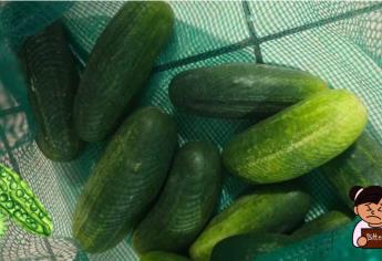 ¿Te salió amargo el pepino del ceviche?, Aquí te decimos por qué está saliendo así