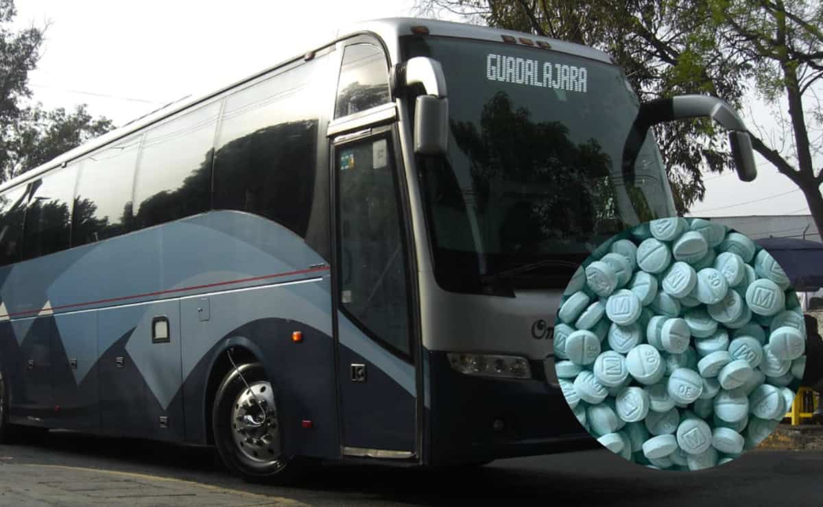 LA DEA acusa a esta línea de autobuses de traficar sustancias ilícitas a EU LA DEA acusa a esta línea de autobuses de traficar sustancias ilícitas a EU