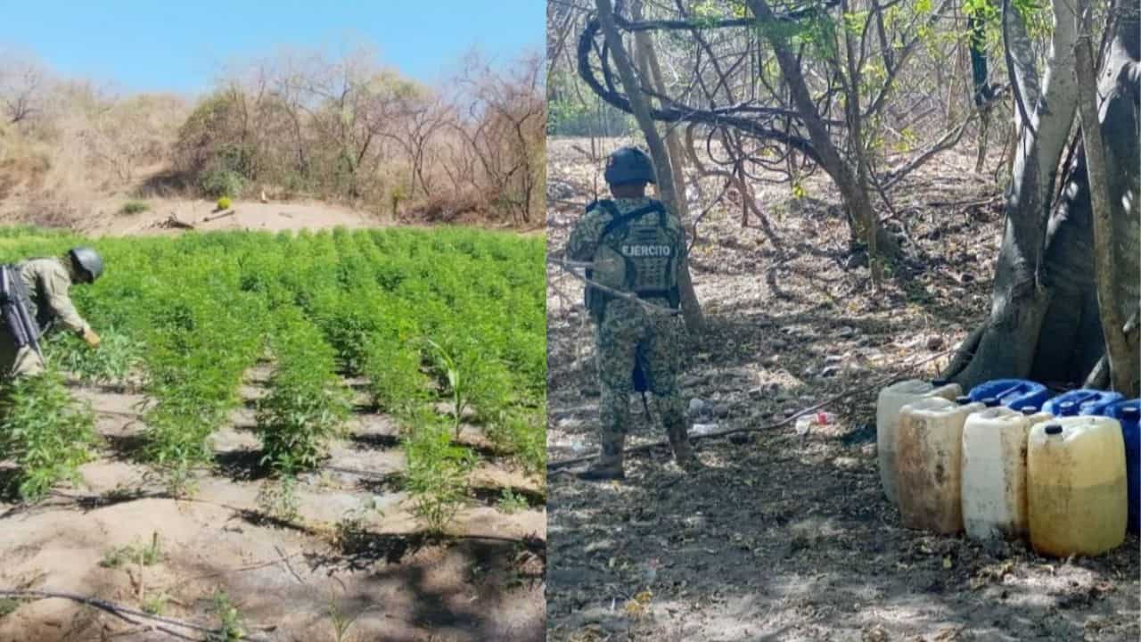 Las áreas de concentración clandestinas de químicos fueron aseguradas y puestas a disposición de la autoridad correspondiente para las diligencias de ley y su posterior destrucción