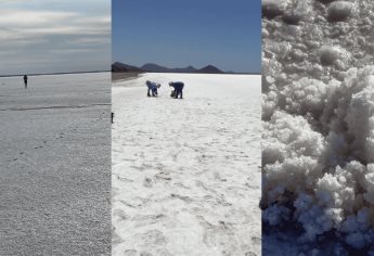 La marisma de la Laguna del Caimanero se pinta de blanco; un espectáculo natural de sal en El Rosario