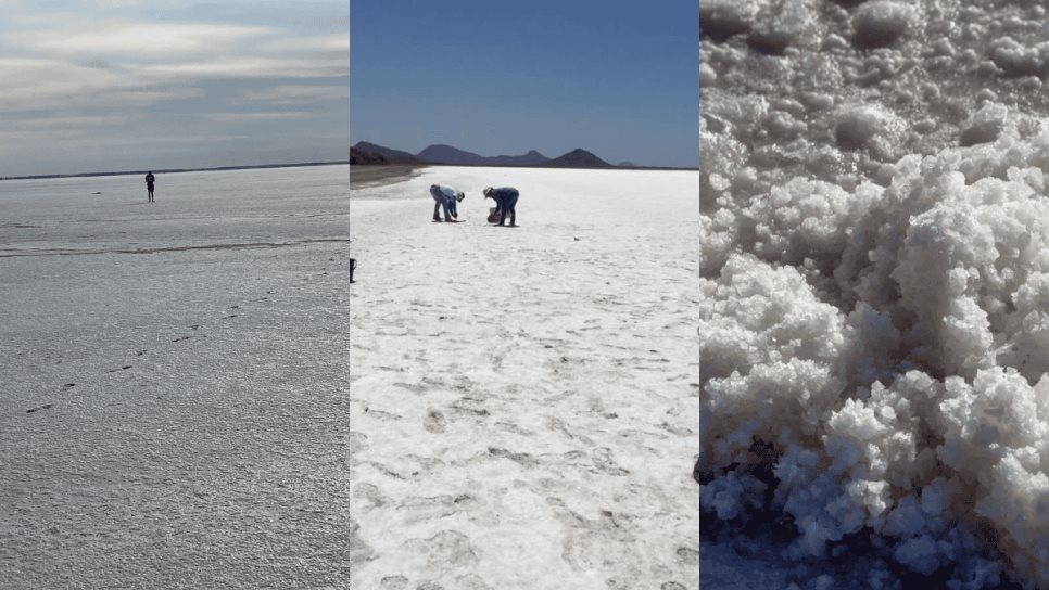 La marisma de la Laguna del Caimanero se pinta de blanco; un espectáculo natural de sal en Rosario La marisma de la Laguna del Caimanero se pinta de blanco; un espectáculo natural de sal en Rosario