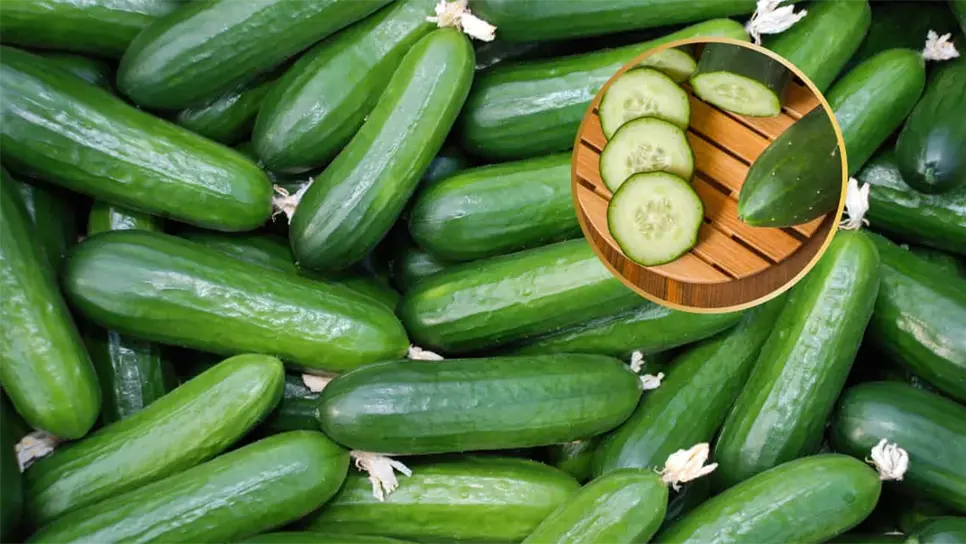 Existe la creencia de que frotar las puntas del pepino elimina el sabor amargo. FOTO: Canva.