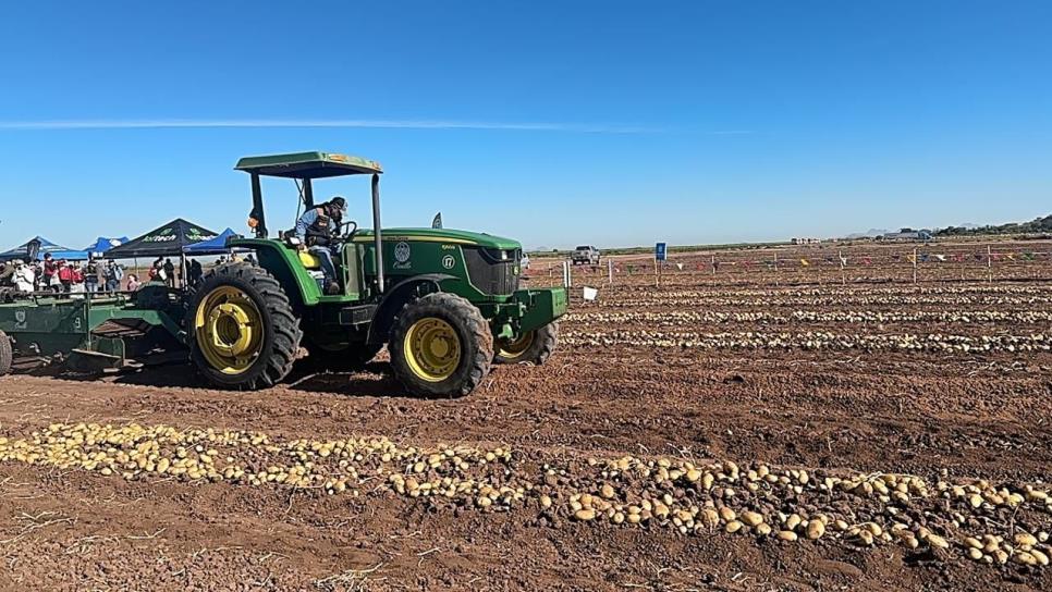 ¿Cuánto gana un jornalero agrícola en Sinaloa? Esto debes saber ¿Cuánto gana un jornalero agrícola en Sinaloa? Esto debes saber