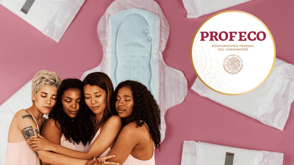 Profeco: ¿Cuáles son las mejores toallas sanitarias que debes comprar en México? Profeco: ¿Cuáles son las mejores toallas sanitarias que debes comprar en México?