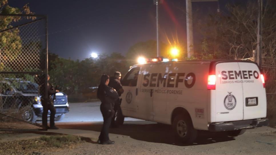 Localizan a una persona sin vida envuelta en una cobija y un tapete en vagón del tren en Mazatlán Localizan a una persona sin vida envuelta en una cobija y un tapete en vagón del tren en Mazatlán