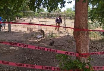 Cuatro niños resultan lesionados tras caer en una fosa séptica en un kinder de Guasave