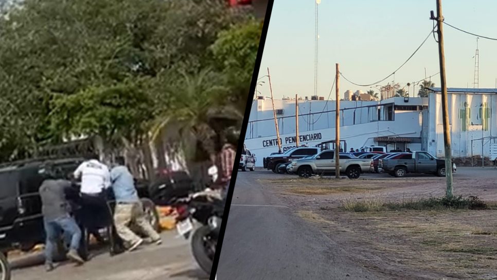 Vinculan a proceso a padre e hijo por agredir a agentes de Tránsito en Los Mochis Vinculan a proceso a padre e hijo por agredir a agentes de Tránsito en Los Mochis