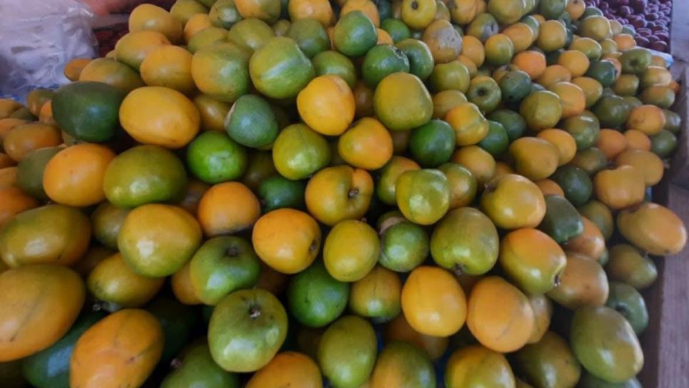 Llegó la temporada de la ciruela a Agua Caliente de Garate, la capital de este delicioso fruto