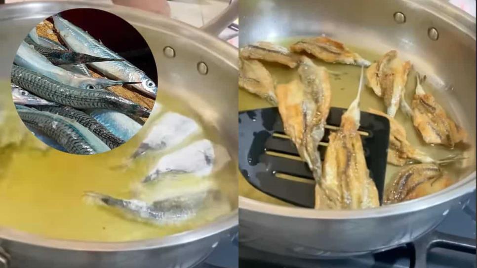 ¿Cómo se cocinan los pajaritos en Mazatlán? El platillo típico que solo encuentras en temporada ¿Cómo se cocinan los pajaritos en Mazatlán? El platillo típico que solo encuentras en temporada