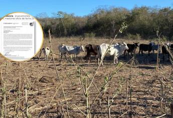 Declaran improcedente la solicitud de emergencia por sequía en Sinaloa