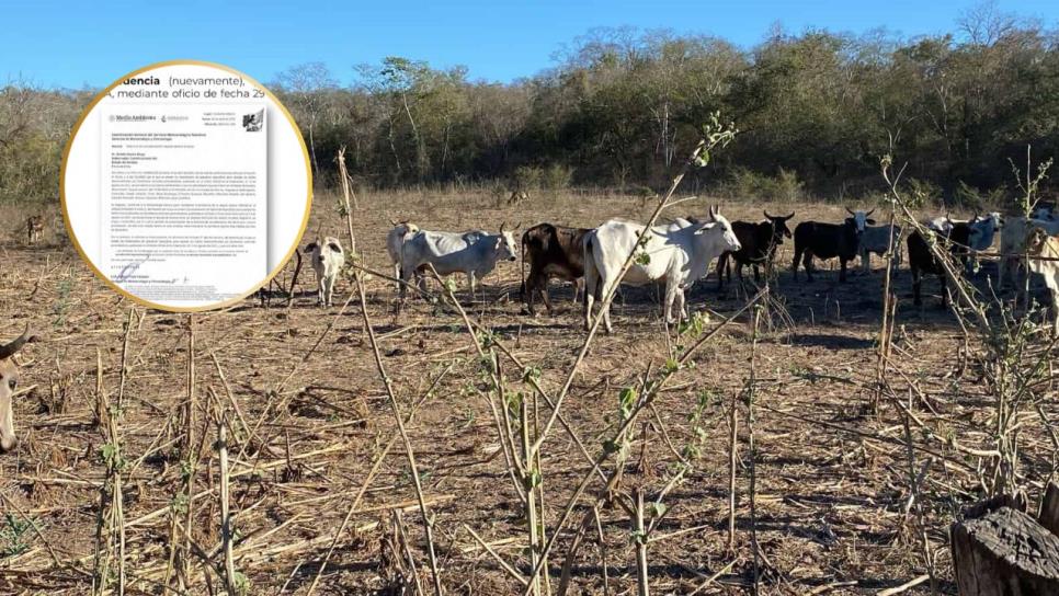 Declaran improcedente la solicitud de emergencia por sequía en Sinaloa Declaran improcedente la solicitud de emergencia por sequía en Sinaloa