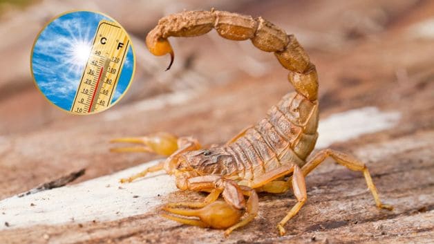 Imagen Placeholder Imagen Placeholder