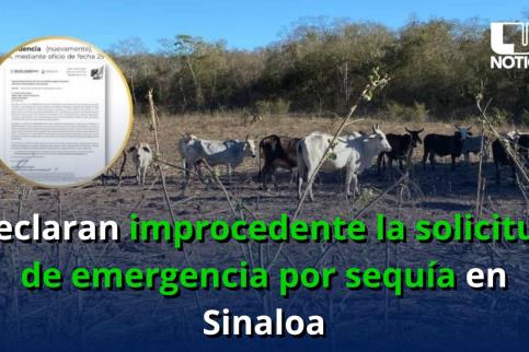 Declaran improcedente la solicitud de emergencia por sequía en Sinaloa