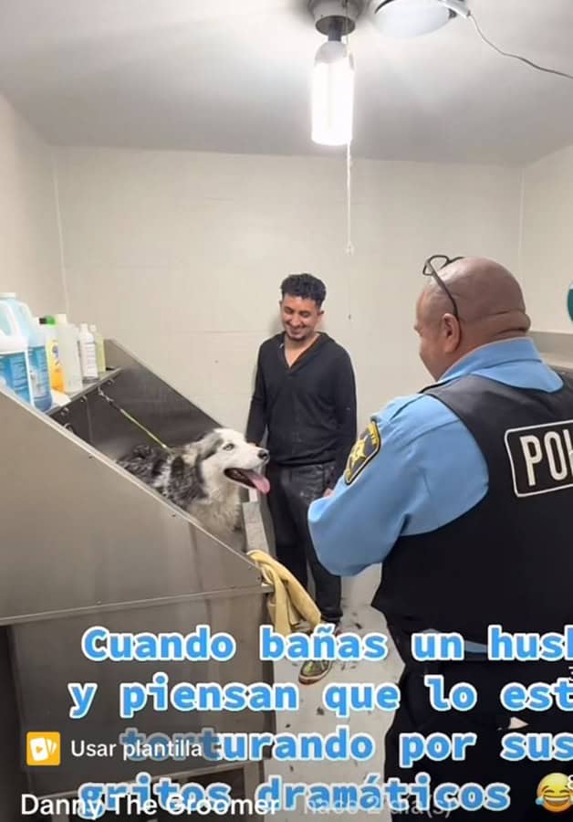 Imagen Placeholder Imagen Placeholder