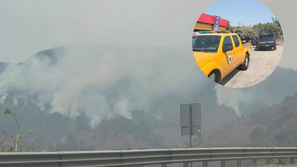 Tras días de denuncias, activan brigadas para combatir incendio en la Sierra de Concordia Tras días de denuncias, activan brigadas para combatir incendio en la Sierra de Concordia