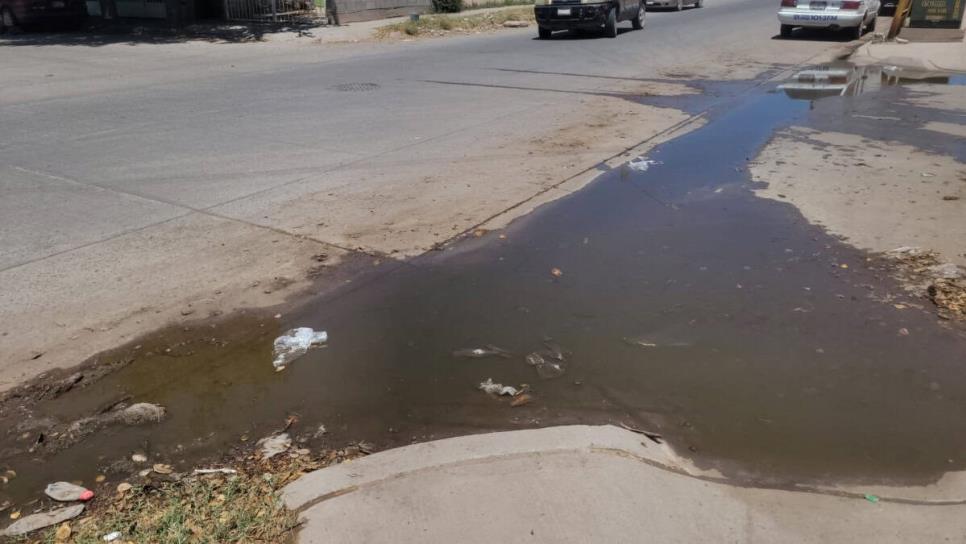 Vecinos de Los Mochis viven en hogares dañados y sin poder usar sus baños por drenajes colapsados Vecinos de Los Mochis viven en hogares dañados y sin poder usar sus baños por drenajes colapsados