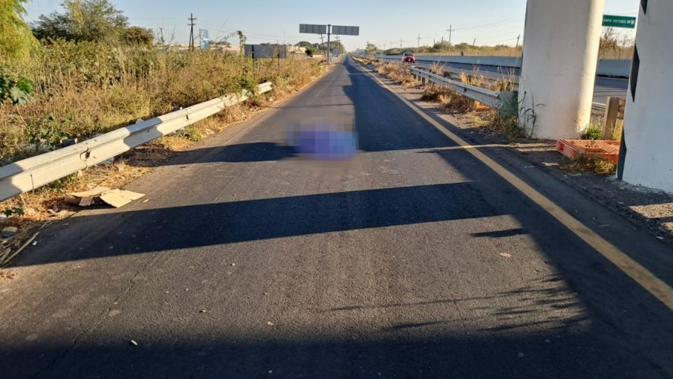 Arrojan cuerpo envuelto en una lona en la carretera Culiacán a Eldorado Arrojan cuerpo envuelto en una lona en la carretera Culiacán a Eldorado